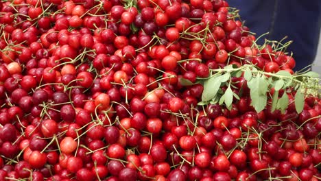 una pila de cerezas frescas