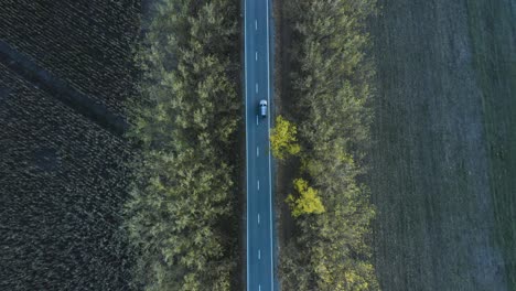 lone vehicle driving on a straight tree-lined country road between agricultural fields