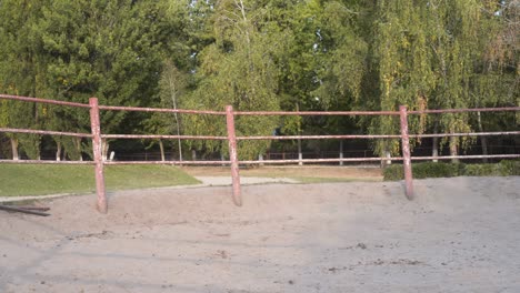 horse regular training running circle arena