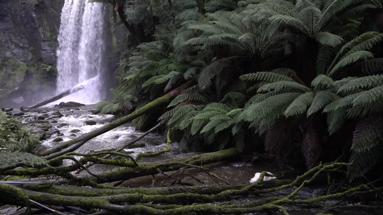 Dezentrierte Aufnahme eines fließenden Wasserfalls in einen felsigen Bach inmitten von Farnen im australischen Regenwald.