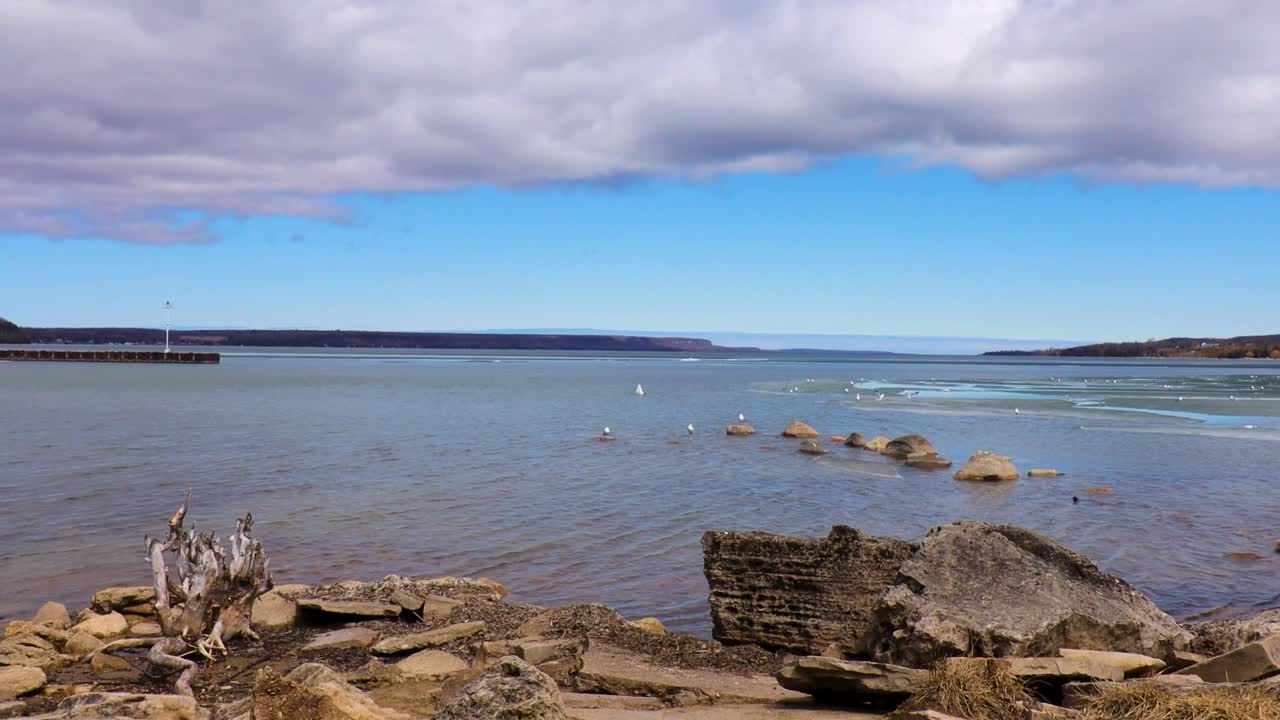 이른 봄에 부분적으로 얼음으로 덮인 캐나다만의 새들