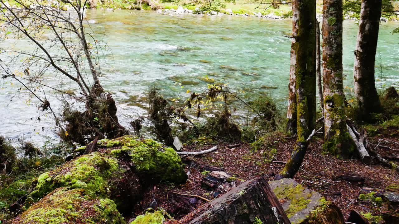 río azul claro en el borde del bosque de musgo