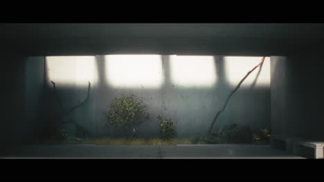 minimalist concrete interior garden