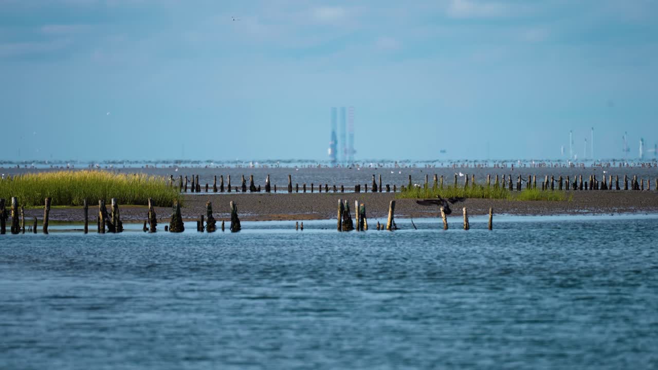 Shallows on the Danish coast