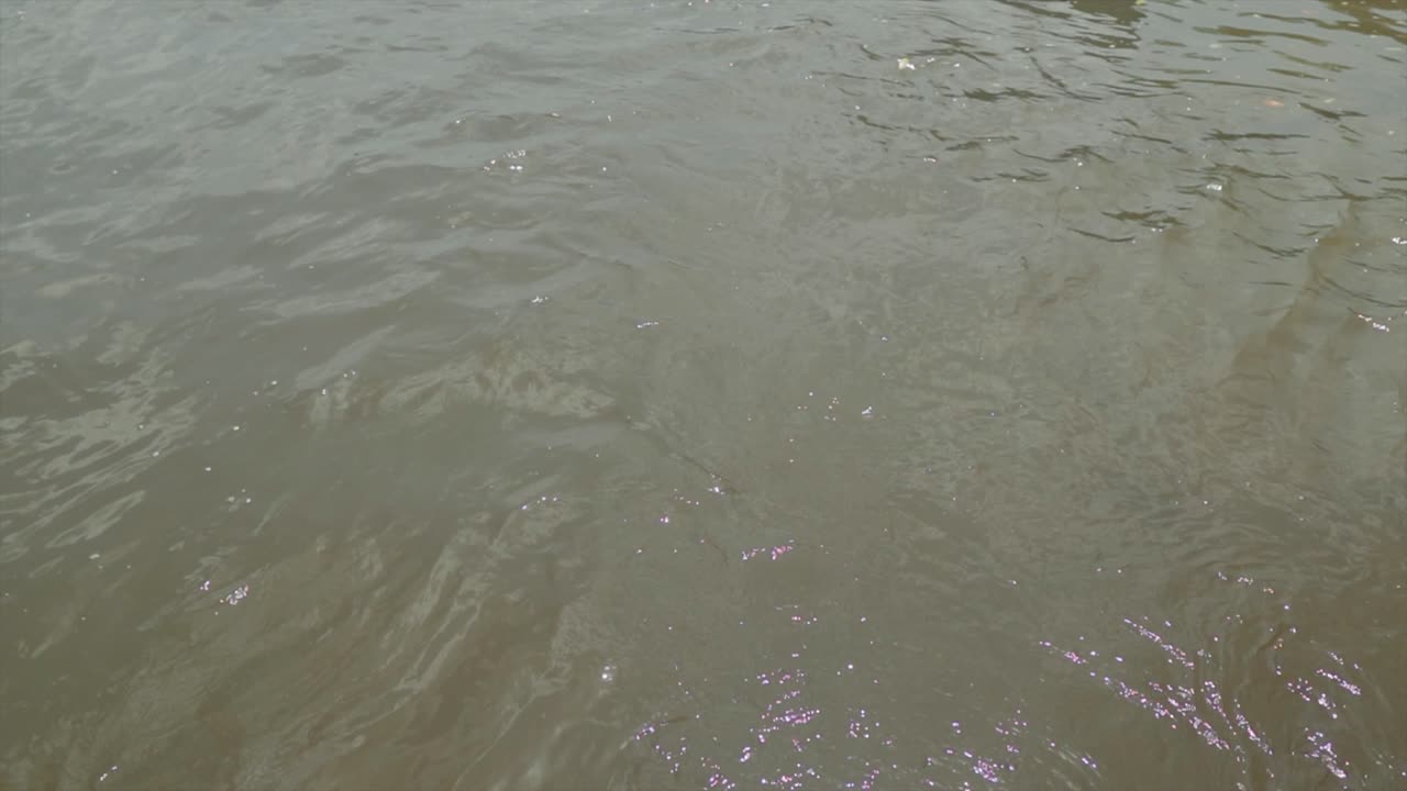 川を流れる水。流動する水。