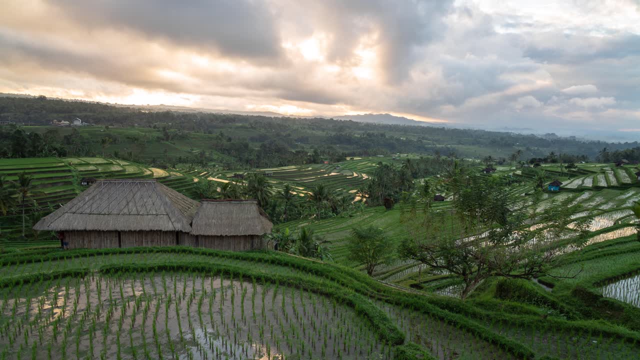 Stunning Sunrise Over Bali's Rice Terraces