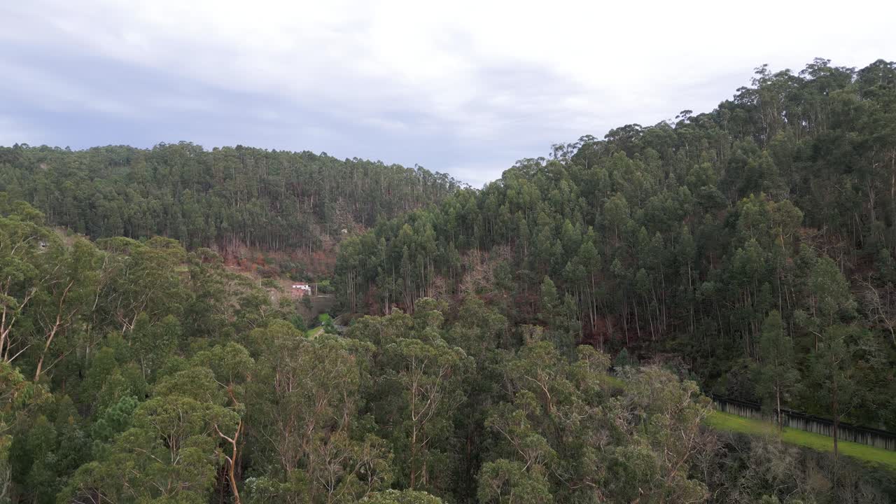 Veduta aerea del paesaggio naturale di Barrias a Felgueiras, Portogallo