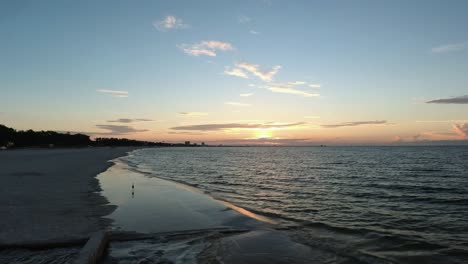 los pájaros caminan por la playa de mississippi en cámara lenta de 4k 24 fps