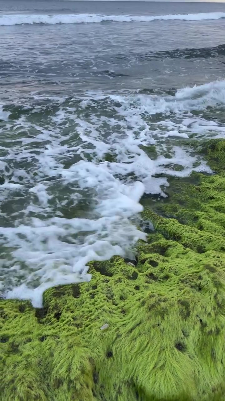 Onde dell'oceano che si infrangono su rocce verdi e muschiose sulla costa
