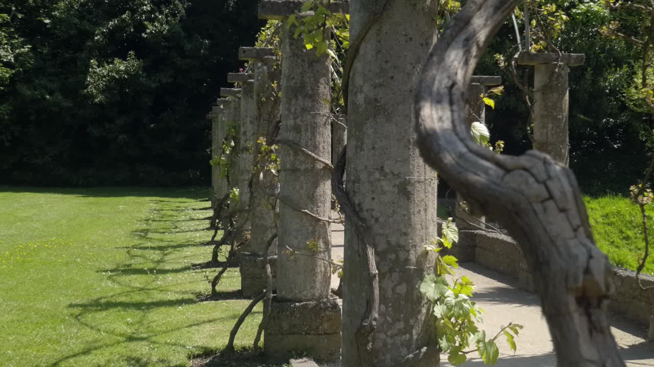 멋진 정원과 그 주변의 숲이 우거진 지역의 영상