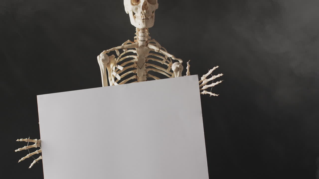 video de primer plano del esqueleto de halloween sosteniendo una tabla blanca con espacio de copia en fondo negro