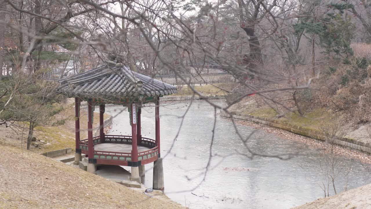 Landskab i slowmotion, der viser en trætempehytte ved en frossen sø med en trægren i forgrunden ved Gwallamjeong-pavillonen inde i Den Hemmelige Have i Seoul, Sydkorea – rejse, turisme og natur.