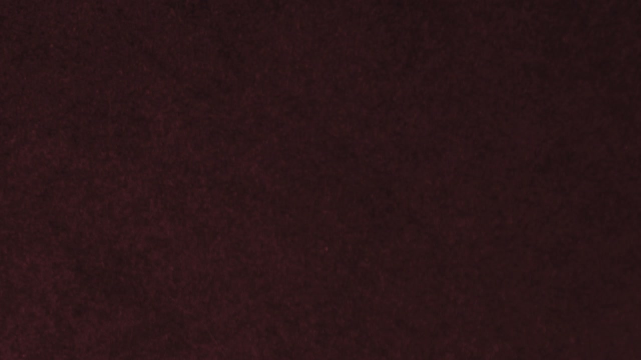 Texture animazione carta