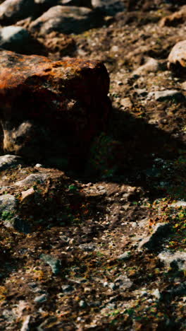 closeup of rocks and dirt on the ground