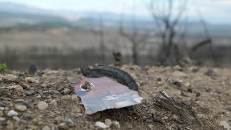 Burned-child-photo-falling-on-ground-after-wildfire