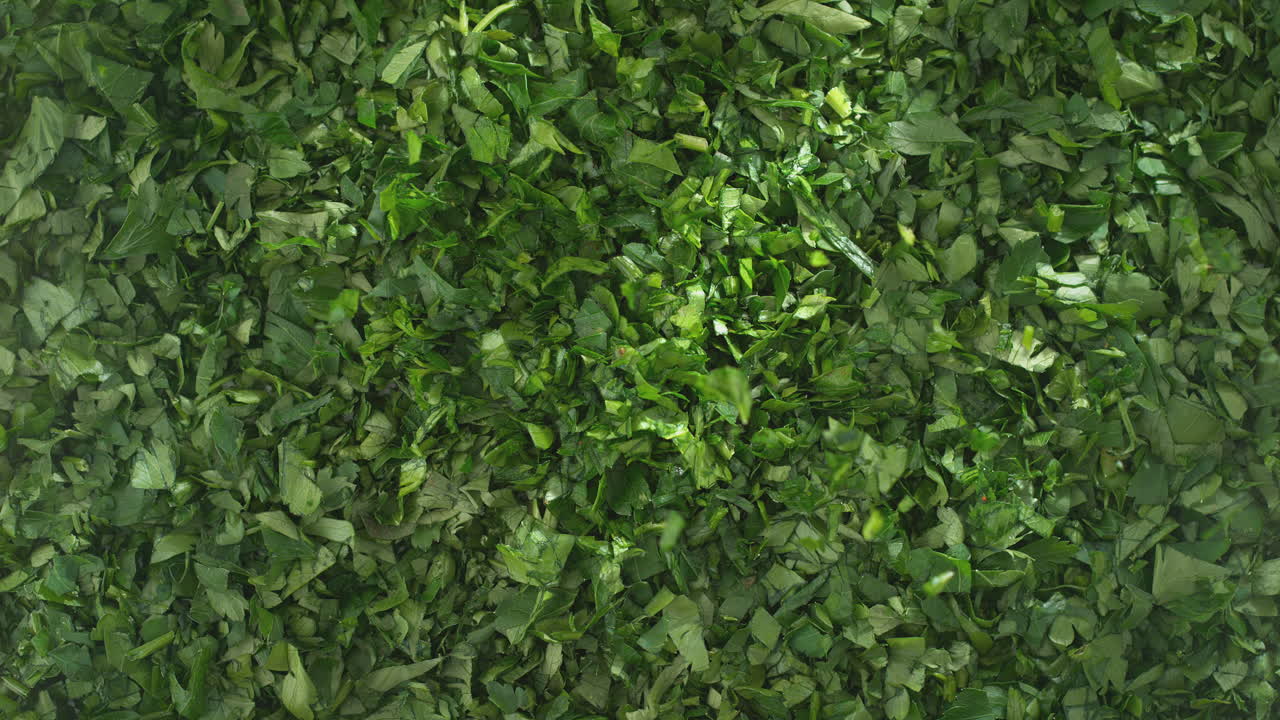 un puñado de perejil picado arrojado a una pila de hierbas verdes frescas - vista de arriba