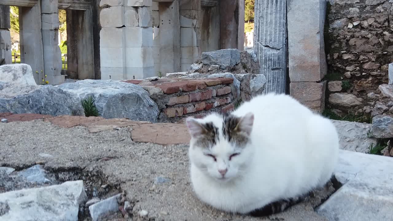 Artemis one of the seven wonder of the ancient world at Ephesus, Turkey