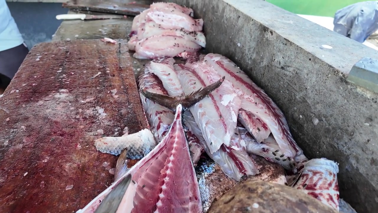 Primo piano di testa di barracuda tagliata al mercato locale