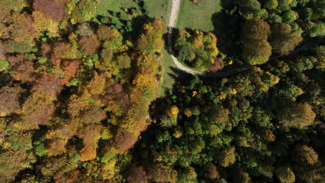 lush autumn forest sprawls across rolling hills, displaying a mesmerizing blend of colors as captured from a drone high above