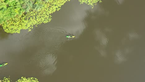 Aerial-view-of-tourists,-canoe-or-kayak-in-forests