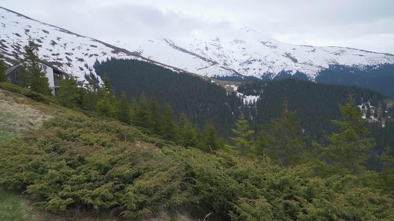 los árboles de hoja perenne cubren las laderas bajas de las montañas hasta la línea de nieve y los picos escarpados envueltos en nubes bajas en la distancia