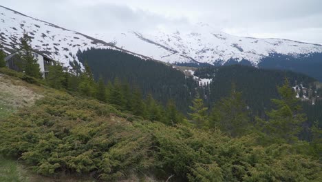 los árboles de hoja perenne cubren las laderas bajas de las montañas hasta la línea de nieve y los picos escarpados envueltos en nubes bajas en la distancia