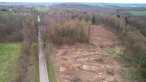 exploración de un avión no tripulado de un bosque talado: registro del impacto de la deforestación en la naturaleza