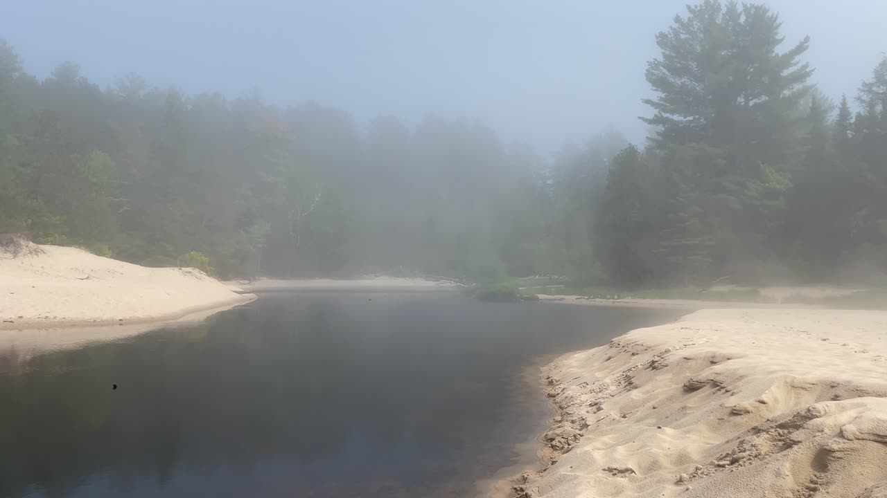espesa niebla moviéndose a través de la playa con árboles mineros playa munising michigan