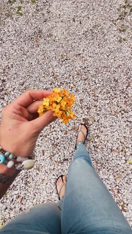 person holding flowers in gravel