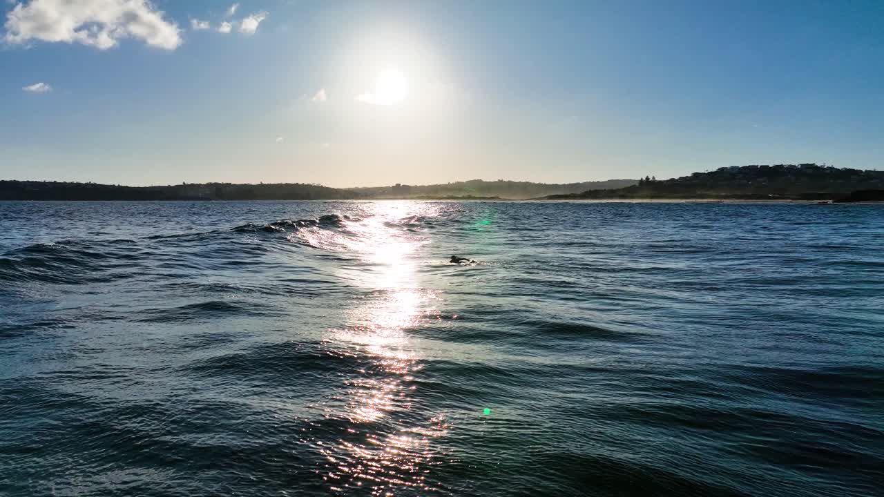 태평양 오렌지 해가 지는 시드니 느린 동작 항공 촬영