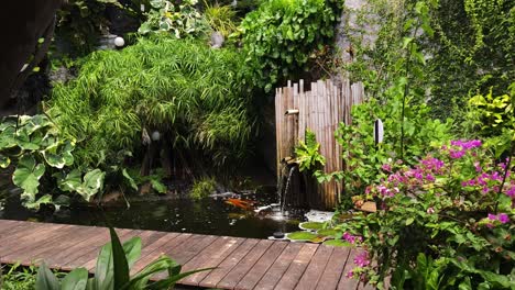 tropical garden pond with koi fish and bamboo features