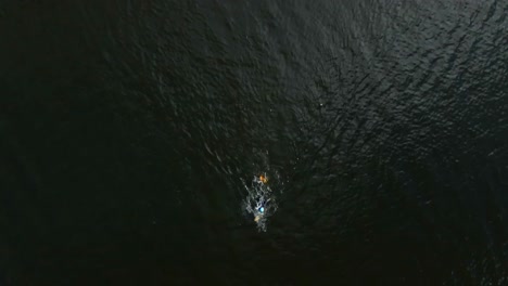 one professional swimmer practising in lake, aerial birds eye