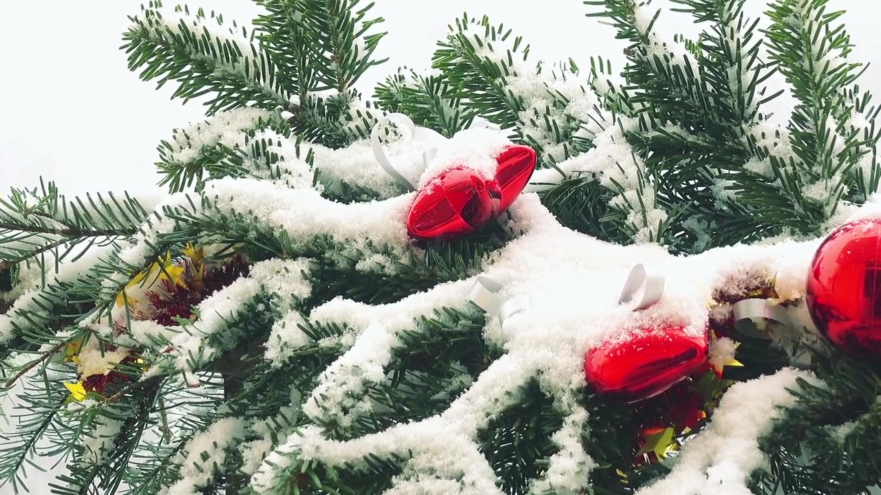 Juletræsgrene pyntet med legetøj under sne