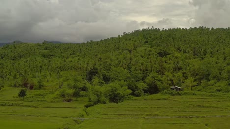 Drone-crane-shot-over-the-jungle-landscapes-of-Surigao-Del-Norte,-Philippines