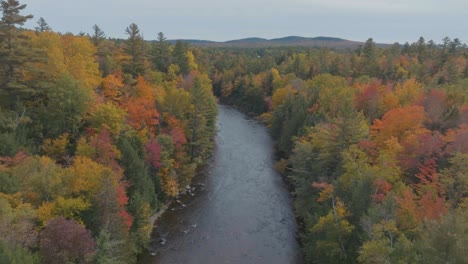 flying along big wilson stream during chinook salmon season in fall