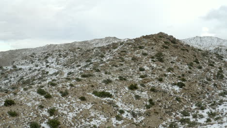 Joshua-Tree-Wüste-Mit-Einer-Schicht-Winterschnee