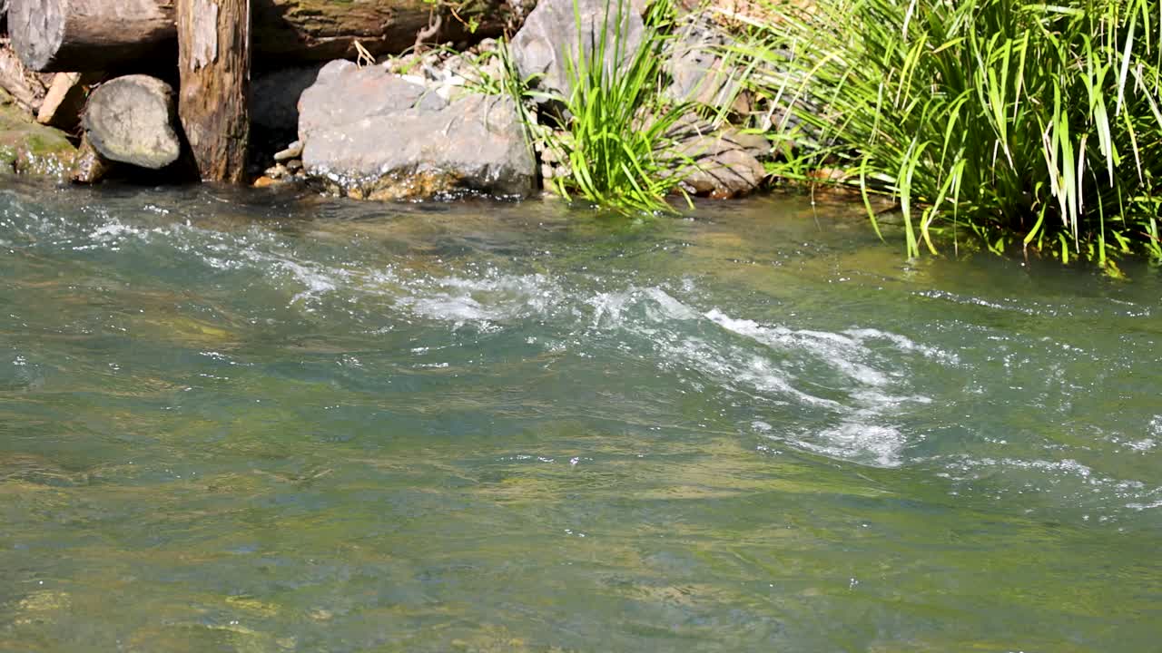 Clear shallow creek flows over rocks and grass in bright daylight, capturing gentle water ripples
