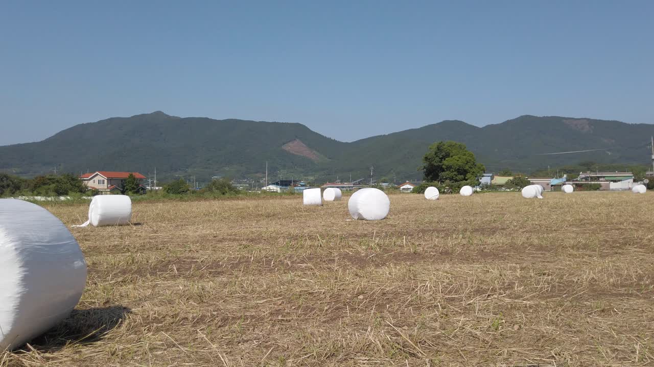 한국 순천에 있는 둥근 플라스틱 포장 건초 베일의 낮은 팬