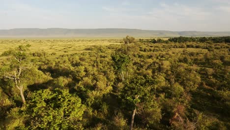 hot air ballon tour over the treetops above the canopy of beautiful african landscape in maasai mara national reserve, kenya, africa safari animals in masai mara north conservancy