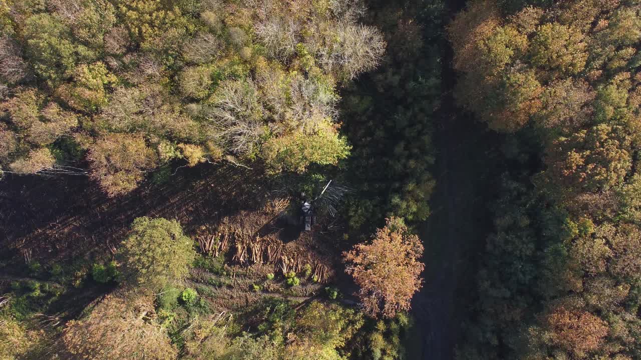 Birds eye view of deforestation taking place in UK