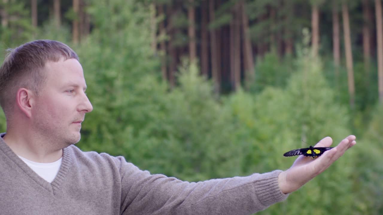 숲에서 나비를 들고 있는 남자