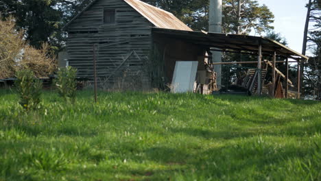 old run down wooden shed on farmland