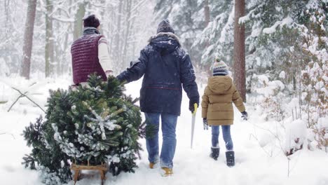 family walking in forest with christmas tree