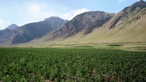 Beautiful-endless-landscapes-in-Kyrgyzstan,-Central-Asia