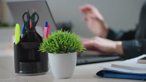 close up of woman typing on laptop beside potted plant and office supplies, then reaching to take coffee, creating calm professional workspace mood