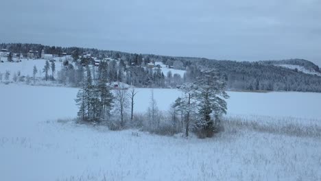 The-frozen-lake-and-forest-near-Borgvattnet,-Sweden