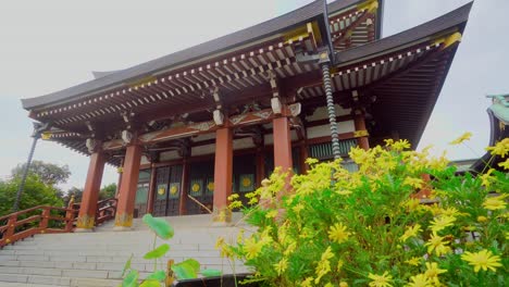 in japanese temples, gardening is essential to highlight the beauty of the place. they are often surrounded by flowers.