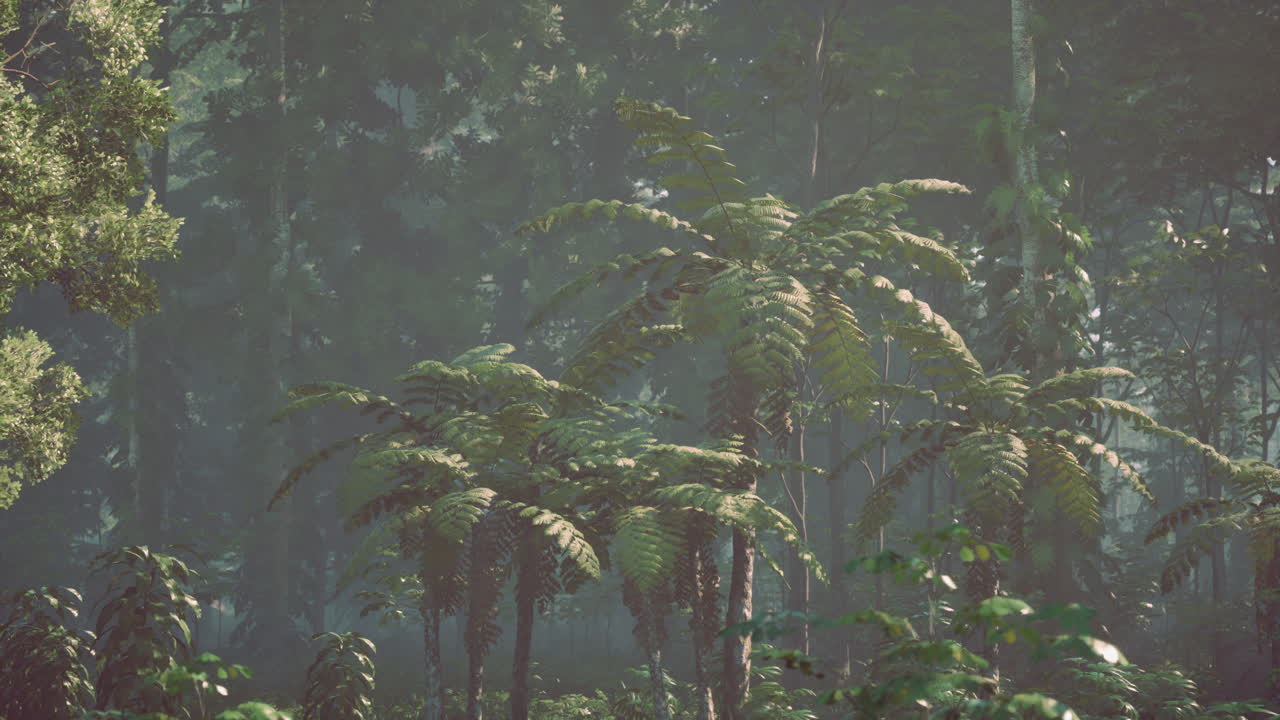 두꺼운 열대 우림