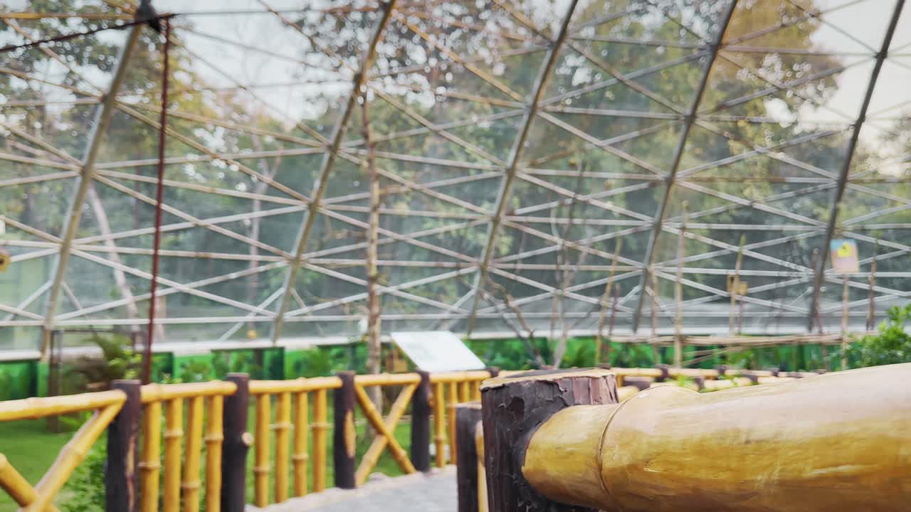 Two eclectus parrots perch on a wooden fence as one spreads red and green wings and lifts off, motion frozen against geometric aviary structure in daylight