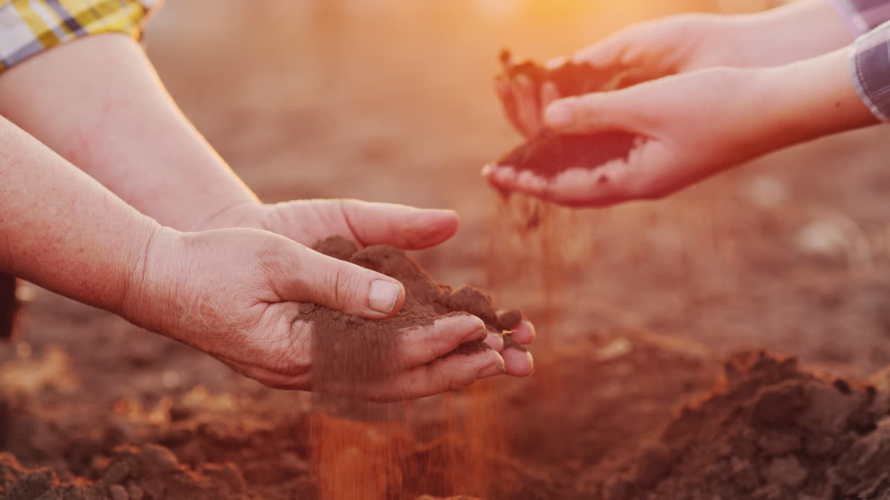 두 농부의 손이 당신의 농장에서 경작된 유기농 생산물 위에 흙을 쥐고 있습니다.
